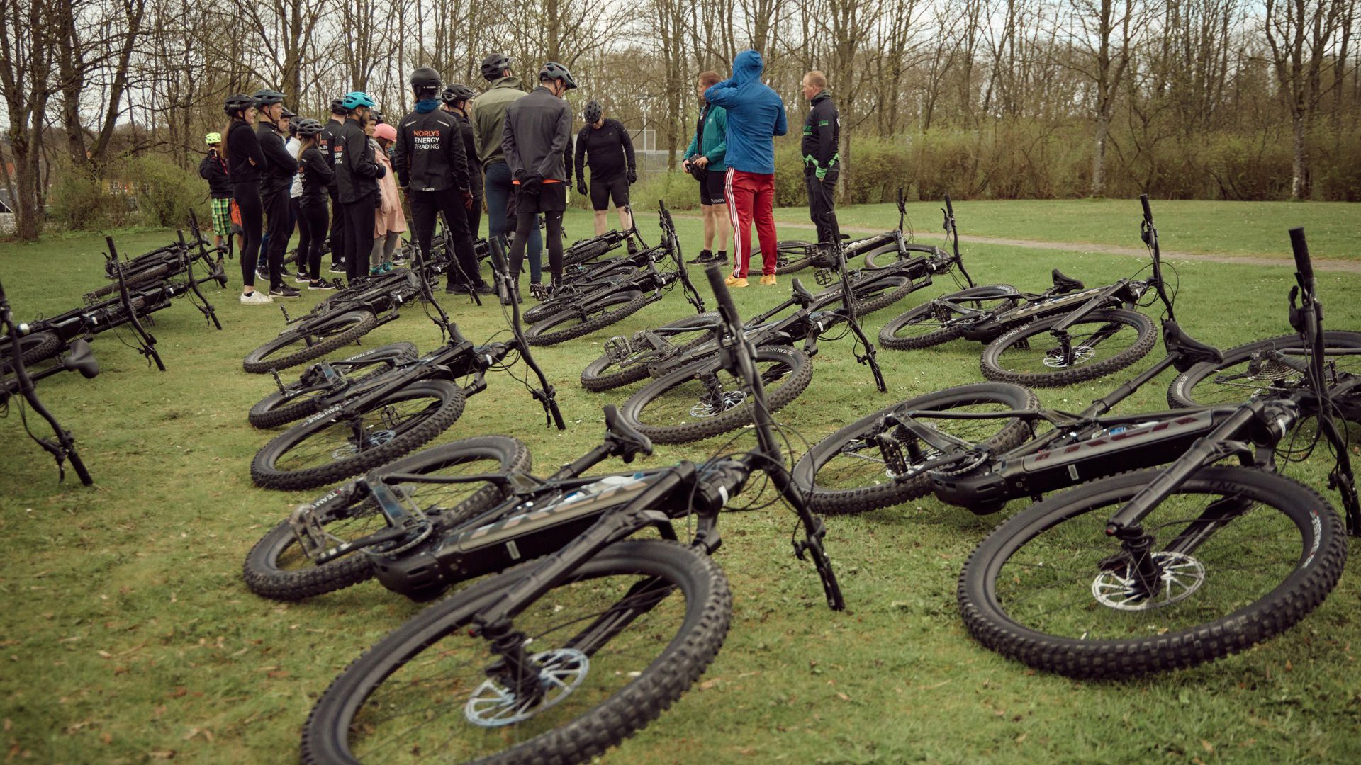 Rold Skov 26.04.2023 Norlys